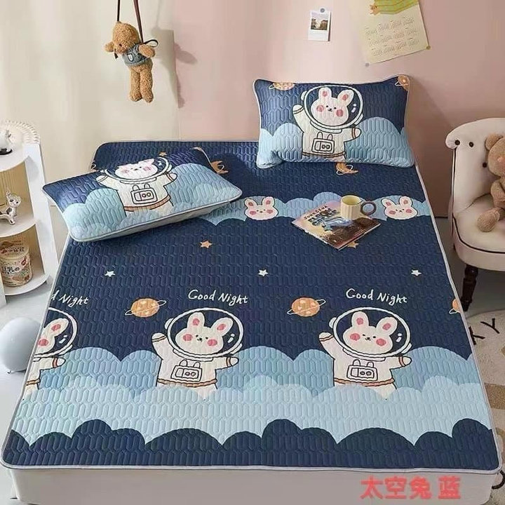 Chiếu Điều Hòa Cao Su Non