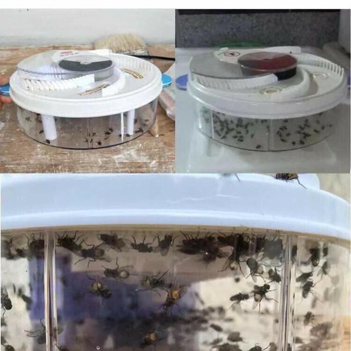 Máy Bắt Ruồi Tự Động Thông Minh