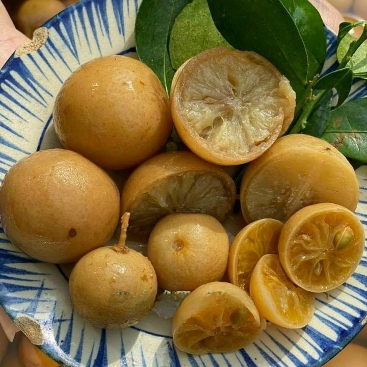 Chanh Muối Ngâm Đường Phèn Giải Nhiệt Ngày Nắng Nóng - Winnie House