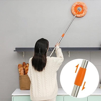Cây Lau Nhà, Lau Trần Nhà Hình Hoa Hướng Dương