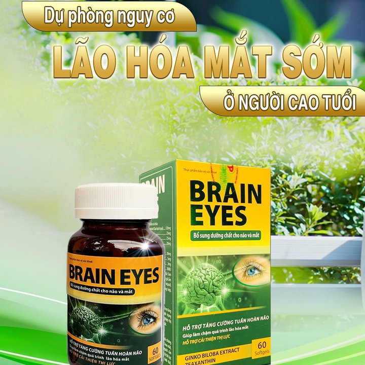 Alternative view of Combo 10 Hộp Viên Uống Bổ Sung Dưỡng Chất Cho Não Và Mắt,cải Thiện Thị Lực,tăng Cường Tuần Hoàn Não Brain Eyes 60 Viên - Singcare