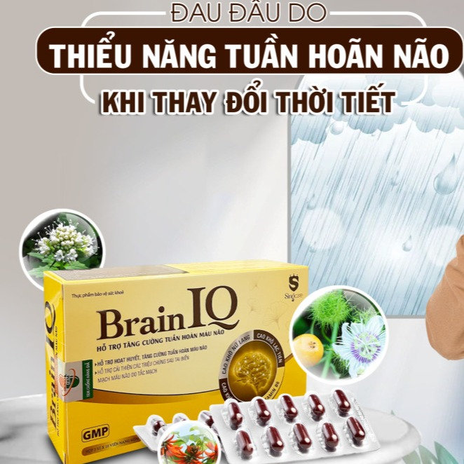 Alternative view of Viên Uống Hổ Trợ Tăng Cường Tuần Hoàn Não Brain Iq 30 Viên - Singcare
