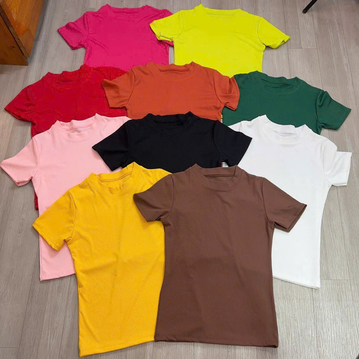 Áo Thun Tăm Lạnh Troqn Cổ Tròn - Lê Phương Boutique