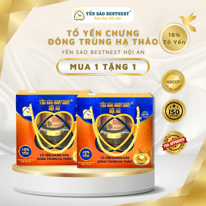 [mua 1 Tặng 1] Yến Sào Bestnest Hội An - Tổ Yến Chưng Sẵn Đông Trùng 18% - Hộp Quai Xách 6 Hũ X 70ml