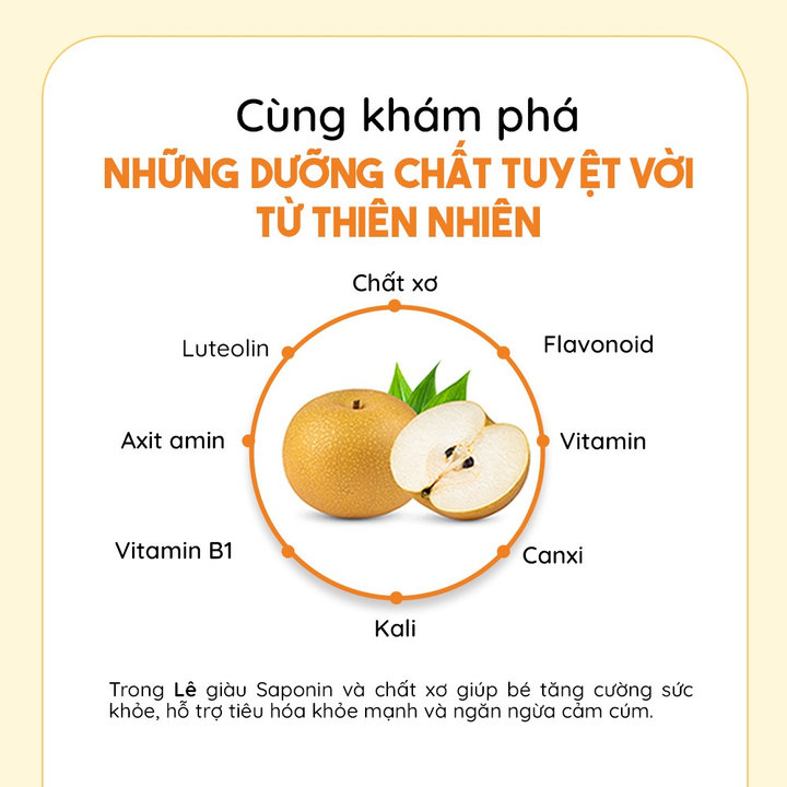 Alternative view of Nước Ép Lê Rễ Hoa Chuông Đen Hữu Cơ Cho Bé 1 Tuổi Aram Farm Giúp Tăng Đề Kháng Hô Hấp, Bổ Sung Vitamin, Không Đườngnước Ép Lê Rễ Hoa Chuông Đen Hữu Cơ Cho Bé 1 Tuổi Aram Farm Giúp Tăng Đề Kháng Hô Hấp, Bổ Sung Vitamin, Không Đường