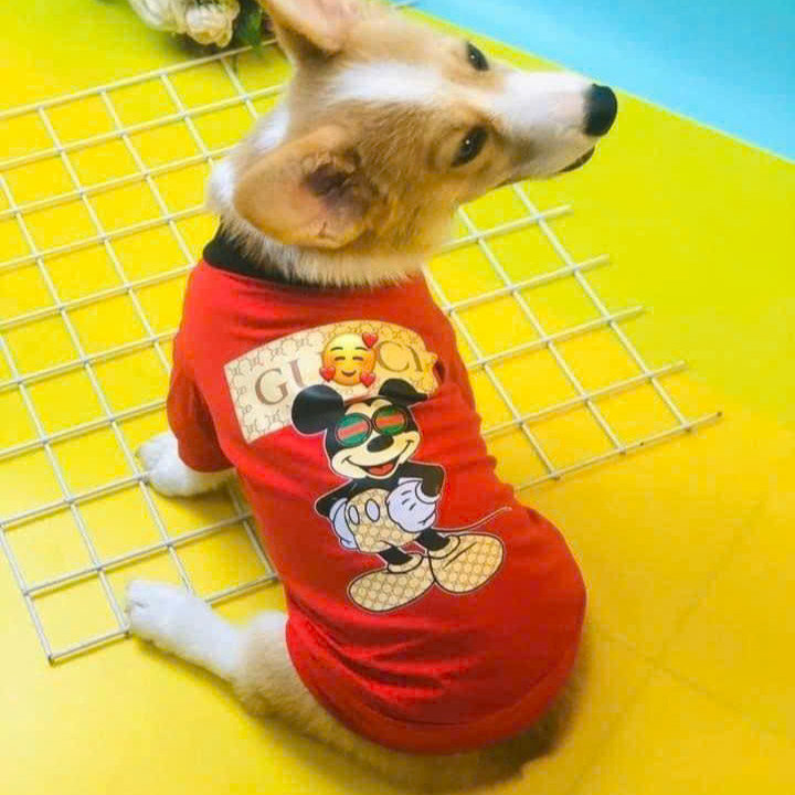 Alternative view of Áo Cute Cool Ngầu Từ 1-20kg Dành Cho Thú Cưng Chó Mèo