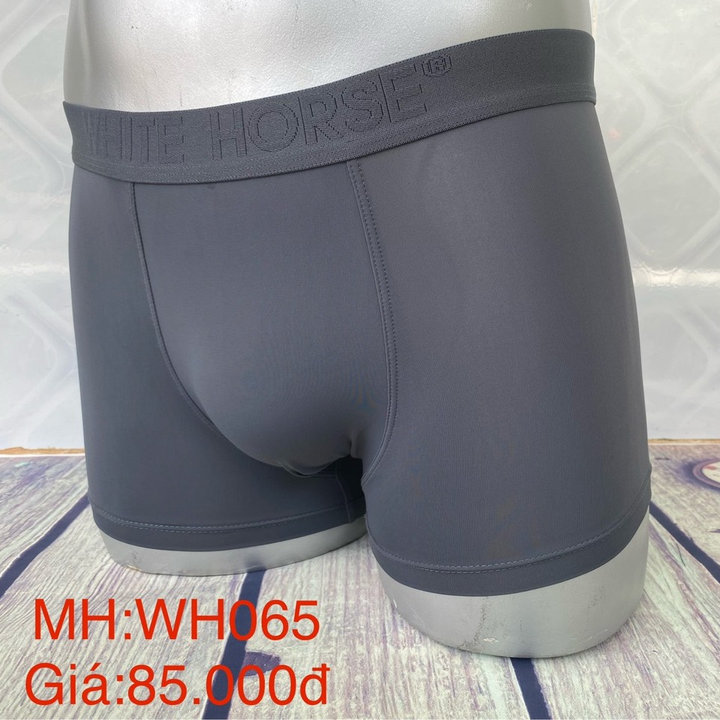 Quần Lót Nam Wh065 -whte Horse