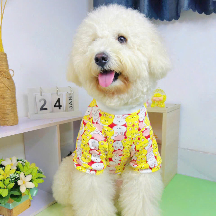 Áo Thỏ Dễ Thương Từ 0.5-20kg Dành Cho Thú Cưng Chó Mèo
