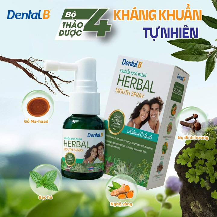 Alternative view of Xịt Thơm Miệng Thảo Dược Dental B Thái Lan 25ml