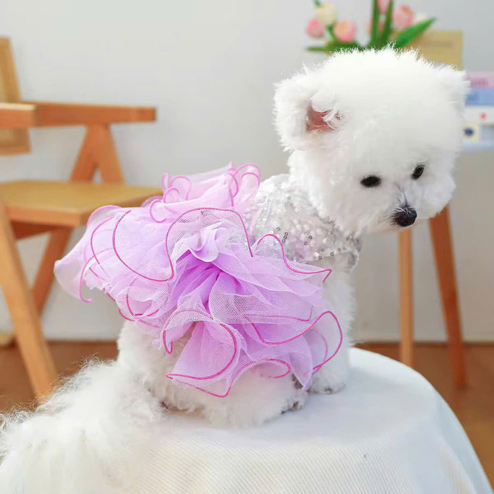 Váy Kim Sa Xoè Siêu Sang Trọng Và Đẹp Từ 0.5-9kg Dành Cho Thú Cưng Chó Mèo