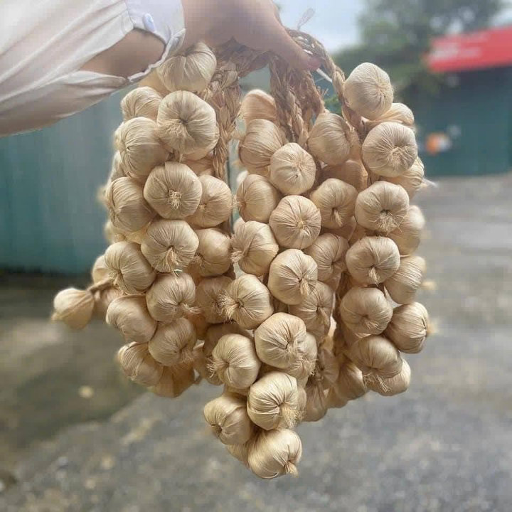 Dây Nông Sản Trang Trí - Củ Quả Giả - Trang Trí Quán Cà Phê, Bếp, Quán Ăn, Lễ Hội, Nhà Hàng, Khách Sạn