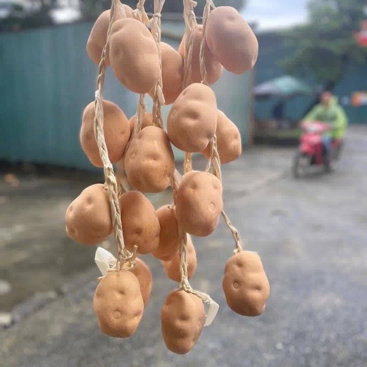 Dây Nông Sản - Củ Quả Giả - Cho Quán Cà Phê, Bếp, Quán Ăn, Lễ Hội, Nhà Hàng, Khách Sạn