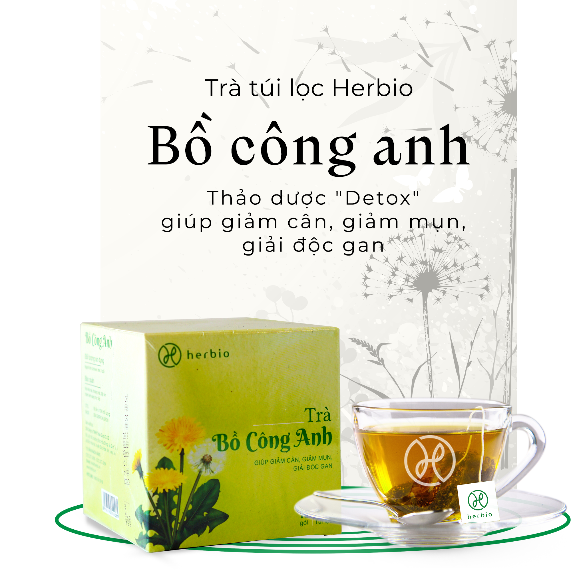 Trà Bồ Công Anh Túi Lọc - Herbio