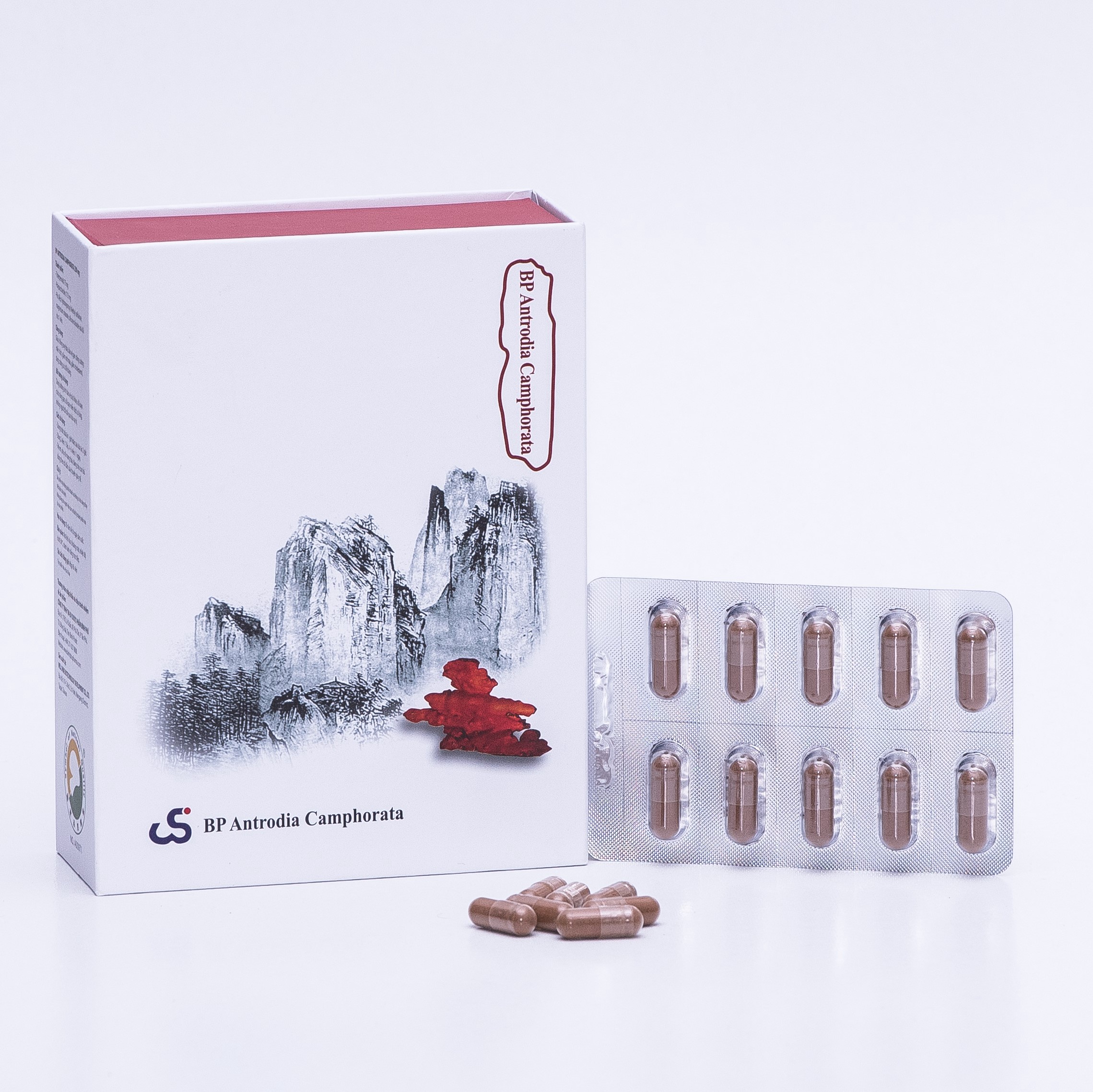 Alternative view of Viên Ngăn Ngừa Đa Kháng Thuốc Trong Hóa Trị Liệu Bp Antrodia Camphorata - Bp Pharma