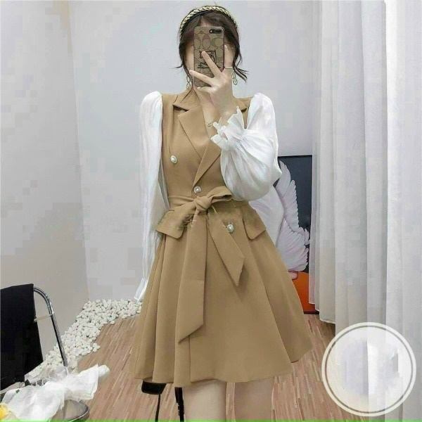 Váy Công Sở Thanh Lịch Tay Dài Sang Chảnh V488 - Haka Mây