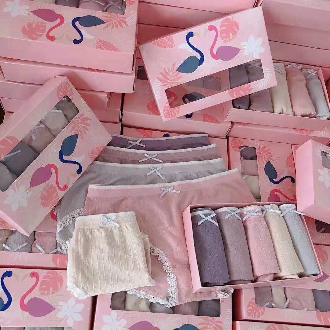 Set Quần Lót 5 Màu Thiên Nga - Minh Ngọc