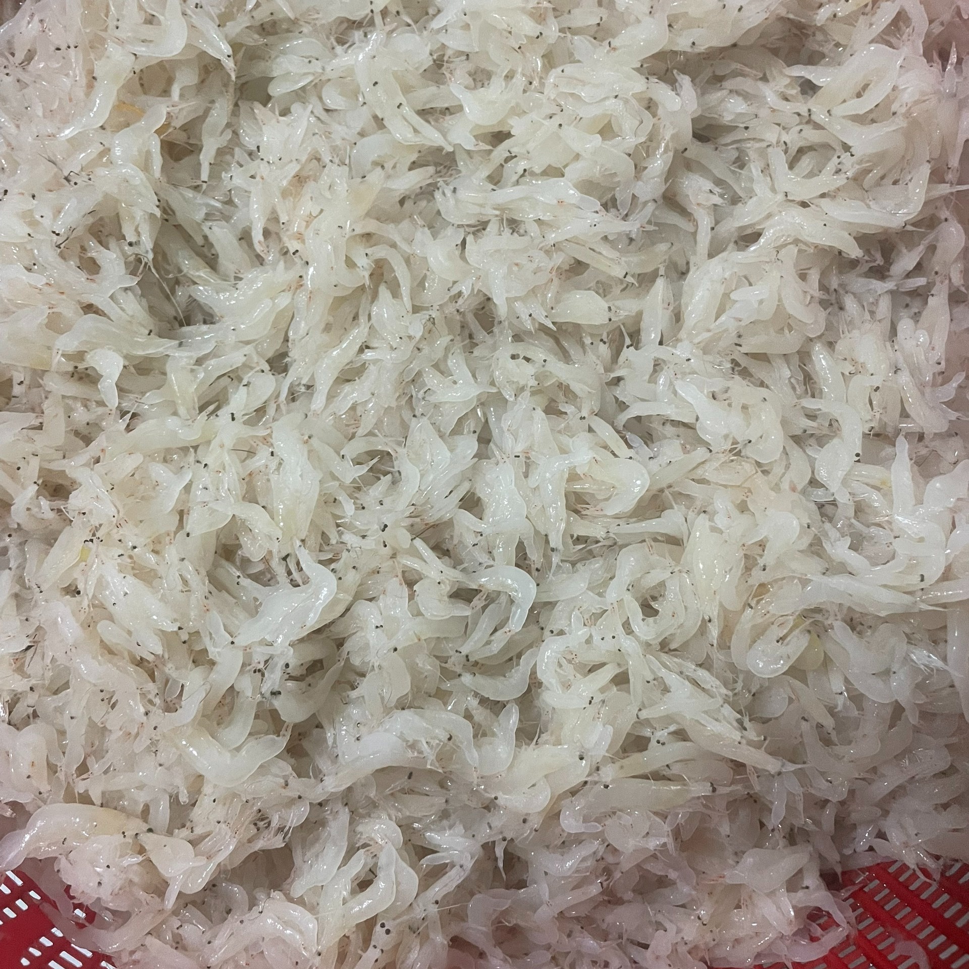 Alternative view of Ruốc Khô Đặc Sản Vùng Biển 500g - Vựa Khô Bến Tre