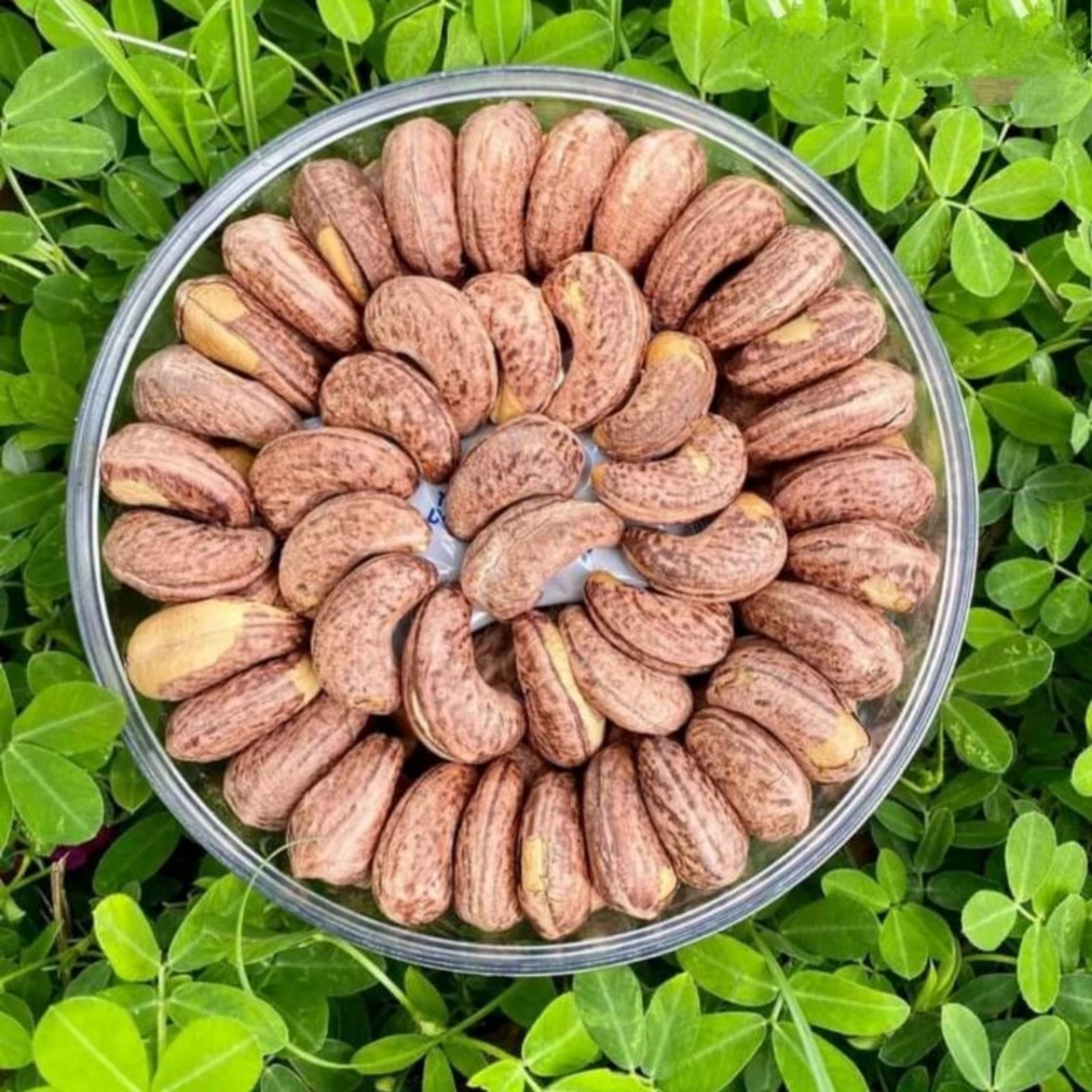 Hạt Điều Rang Muối Loại A+ Chuyên Biếu Tặng 500gr - Pg Bag